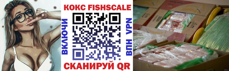 COCAIN FishScale  как найти наркотики  Топки 