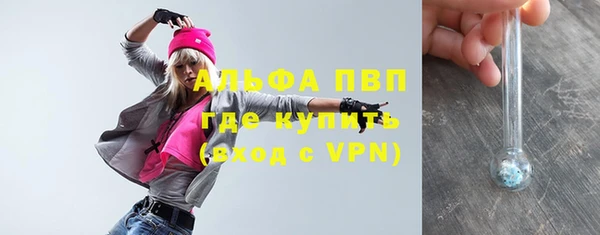 дживик Абаза