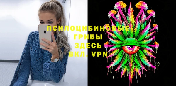 дживик Абаза